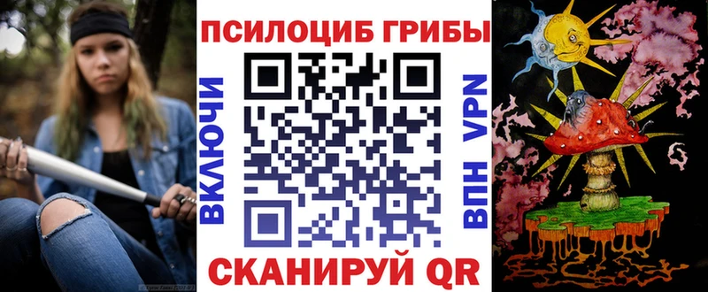 дарнет шоп  Лосино-Петровский  Псилоцибиновые грибы прущие грибы 